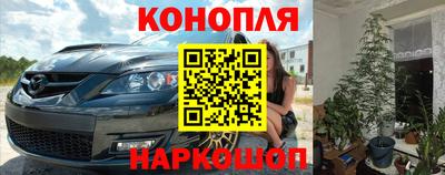 шишки Нальчик