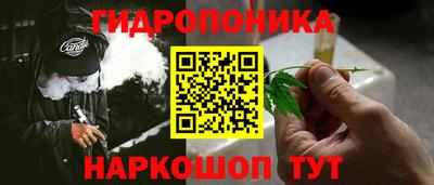 шишки Нальчик