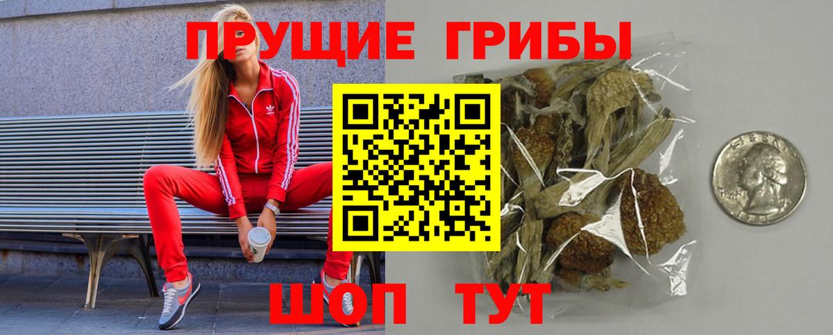 Псилоцибиновые грибы прущие грибы Кореновск